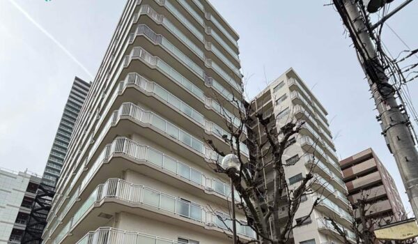 寝屋川市　香里日光ハイツ　株式会社エヌホーム (2)